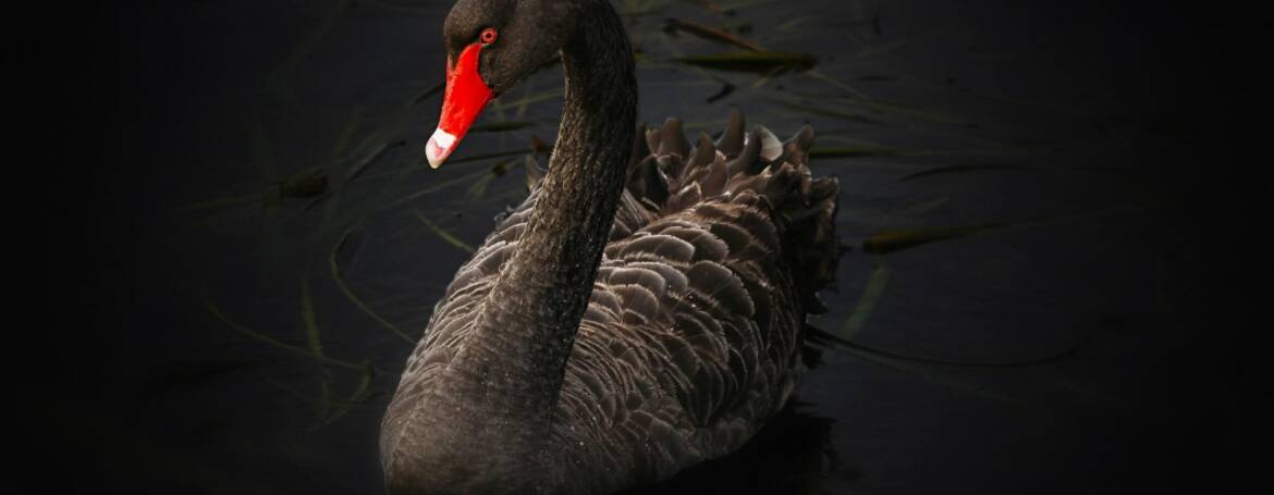 Früher war alles besser