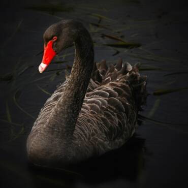 Früher war alles besser